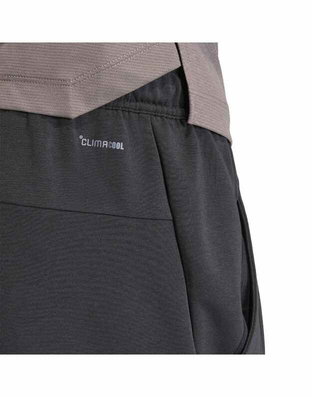 adidas D4T KNIT PT CUF  kelnės 3